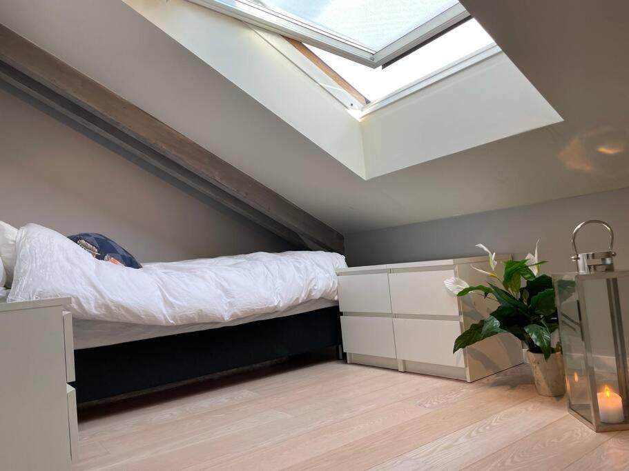 Exclusive, Cosy, Elegant Frogner In The Center Of Leilighet Oslo